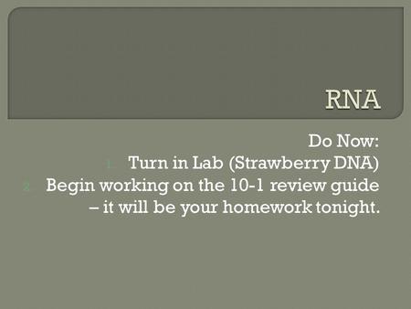 Do Now: 1. Turn in Lab (Strawberry DNA) 2. Begin working on the 10-1 review guide – it will be your homework tonight.