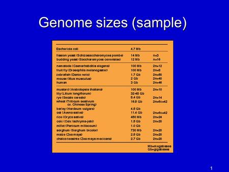 1 Genome sizes (sample). 2 Some genomics history 1995: first bacterial genome, Haemophilus influenza, 1.8 Mbp, sequenced at TIGR first use of whole-genome.