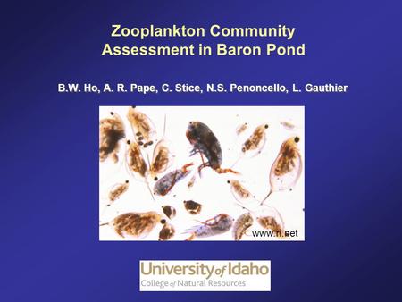 B.W. Ho, A. R. Pape, C. Stice, N.S. Penoncello, L. Gauthier B.W. Ho, A. R. Pape, C. Stice, N.S. Penoncello, L. Gauthier Zooplankton Community Assessment.