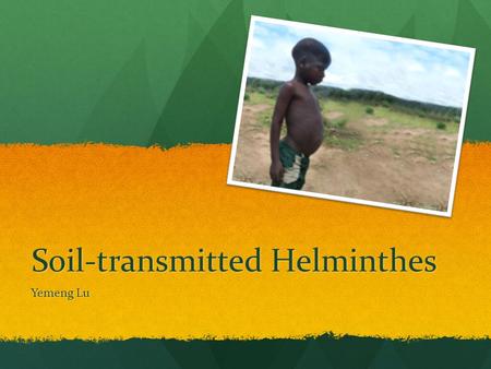 Soil-transmitted Helminthes Yemeng Lu. Overview Infectious Agents Infectious Agents Prevalence Prevalence Transmission Transmission Health Problems Health.