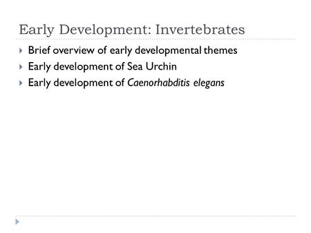 Early Development: Invertebrates  Brief overview of early developmental themes  Early development of Sea Urchin  Early development of Caenorhabditis.
