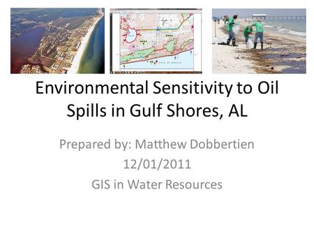 Environmental Sensitivity to Oil Spills in Gulf Shores, AL