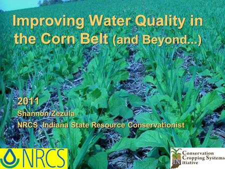 2011 Shannon Zezula NRCS Indiana State Resource Conservationist Improving Water Quality in the Corn Belt (and Beyond...)