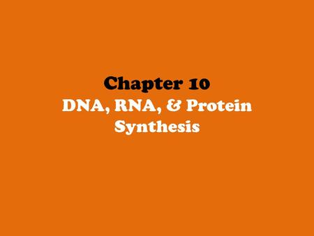 Chapter 10 DNA, RNA, & Protein Synthesis