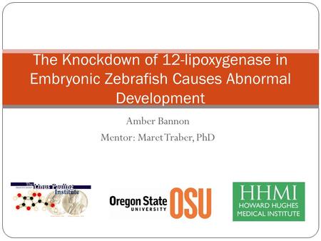 Amber Bannon Mentor: Maret Traber, PhD The Knockdown of 12-lipoxygenase in Embryonic Zebrafish Causes Abnormal Development.