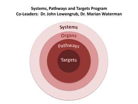 Systems, Pathways and Targets Program Co-Leaders: Dr. John Lowengrub, Dr. Marian Waterman.