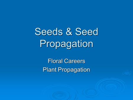 Seeds & Seed Propagation Floral Careers Plant Propagation.