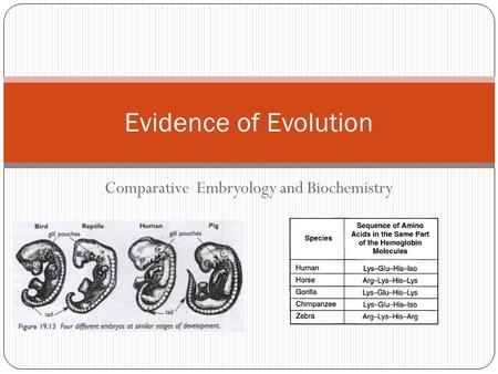 Comparative Embryology and Biochemistry