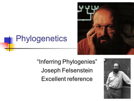 “Inferring Phylogenies” Joseph Felsenstein Excellent reference