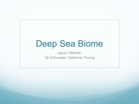 Deep Sea Biome Lauryn Mitchell, Tai Schroeder, Katherine Truong.