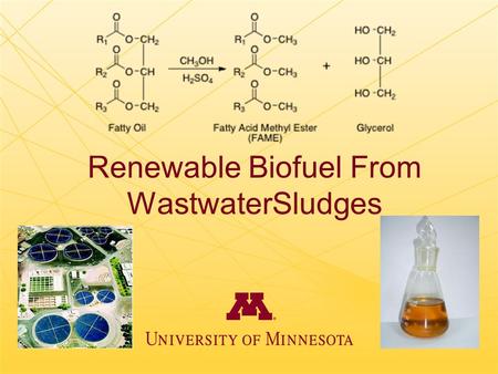 Renewable Biofuel From WastwaterSludges. What’s the Problem? Recent innovations in Green Chemistry have led to the discovery that biodiesel fuel can be.