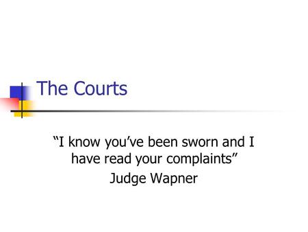 The Courts “I know you’ve been sworn and I have read your complaints” Judge Wapner.