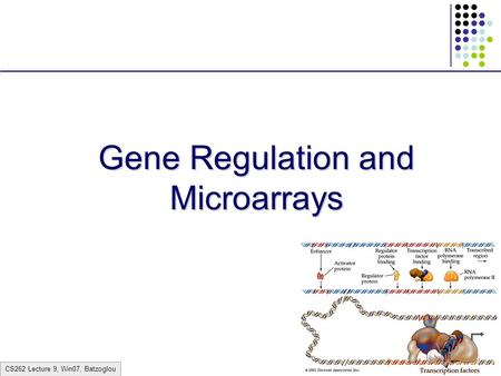 CS262 Lecture 9, Win07, Batzoglou Gene Regulation and Microarrays.