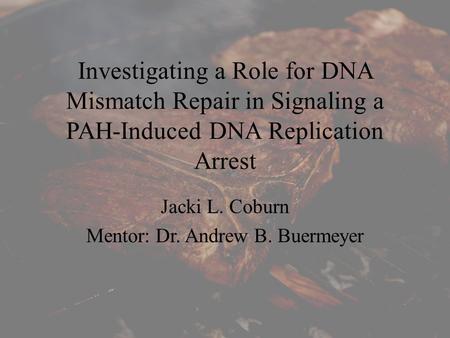 Investigating a Role for DNA Mismatch Repair in Signaling a PAH-Induced DNA Replication Arrest Jacki L. Coburn Mentor: Dr. Andrew B. Buermeyer.