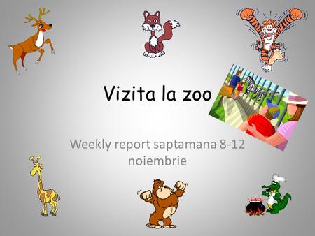 Vizita la zoo Weekly report saptamana 8-12 noiembrie.