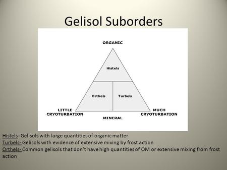 Gelisol Suborders Histels- Gelisols with large quantities of organic matter Turbels- Gelisols with evidence of extensive mixing by frost action Orthels-