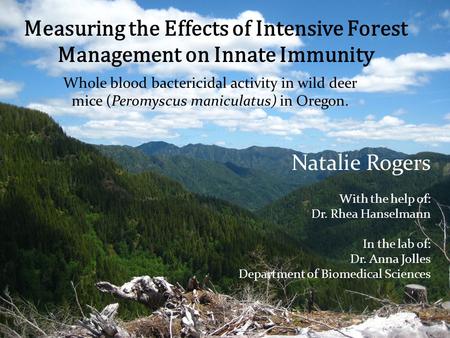 Measuring the Effects of Intensive Forest Management on Innate Immunity Whole blood bactericidal activity in wild deer mice (Peromyscus maniculatus) in.