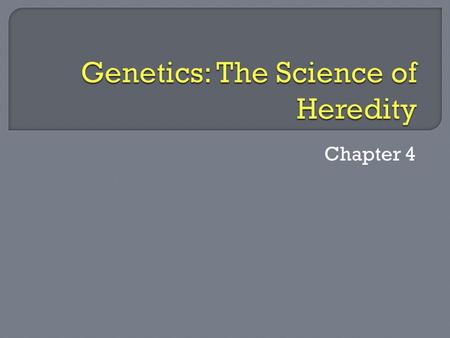 Chapter 4. Big Question  A priest who tended a monastery garden in Europe.  A scientist who experimented with heredity, traits, and genetics on his.