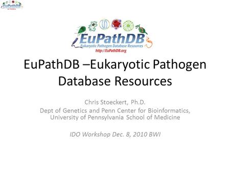 EuPathDB –Eukaryotic Pathogen Database Resources Chris Stoeckert, Ph.D. Dept of Genetics and Penn Center for Bioinformatics, University of Pennsylvania.