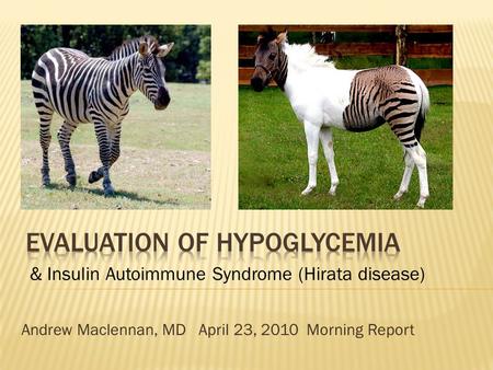 Andrew Maclennan, MD April 23, 2010 Morning Report & Insulin Autoimmune Syndrome (Hirata disease)