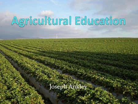 Joseph Ankley What is Agricultural Education? The instruction about animal science, plant science and other topics Present in over 7,400 school districts.