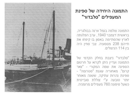 התמונה היחידה של ספינת המעפילים  סלבדור  התמונה צולמה בנמל וורנה בבולגריה, בראשית דצמבר 1940, ערב הפלגתה לארץ שהסתיימה באסון בו קיפחו את חייהם 238 מנוסעיה.