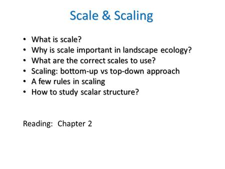 Scale & Scaling What is scale? What is scale? Why is scale important in landscape ecology? Why is scale important in landscape ecology? What are the correct.