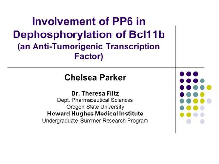 Involvement of PP6 in Dephosphorylation of Bcl11b (an Anti-Tumorigenic Transcription Factor) Chelsea Parker Dr. Theresa Filtz Dept. Pharmaceutical Sciences.