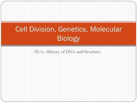 20.1a History of DNA and Structure Cell Division, Genetics, Molecular Biology.