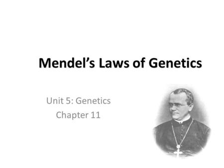 Mendel’s Laws of Genetics Unit 5: Genetics Chapter 11.