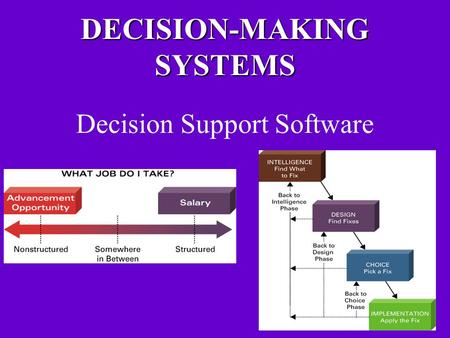DECISION-MAKING SYSTEMS Decision Support Software.