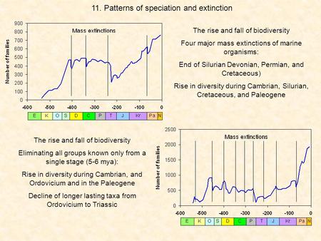 11. Patterns of speciation and extinction The rise and fall of biodiversity Four major mass extinctions of marine organisms: End of Silurian Devonian,