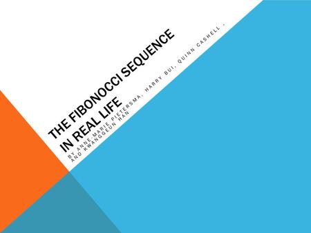 THE FIBONOCCI SEQUENCE IN REAL LIFE BY ANNE-MARIE PIETERSMA, HARRY BUI, QUINN CASHELL, AND KWANGGEUN HAN.