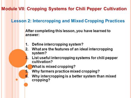 Module VII: Cropping Systems for Chili Pepper Cultivation Lesson 2: Intercropping and Mixed Cropping Practices After completing this lesson, you have learned.
