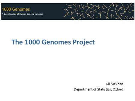 The 1000 Genomes Project Gil McVean Department of Statistics, Oxford.