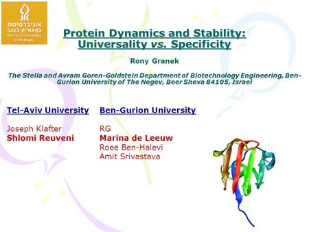 Protein Dynamics and Stability: Universality vs