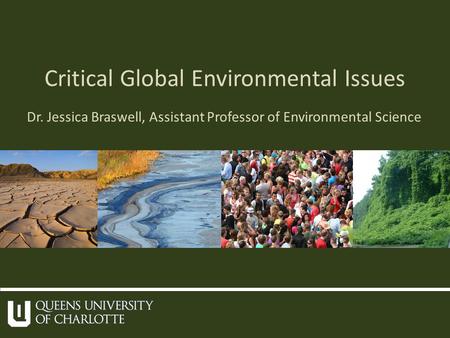 Critical Global Environmental Issues