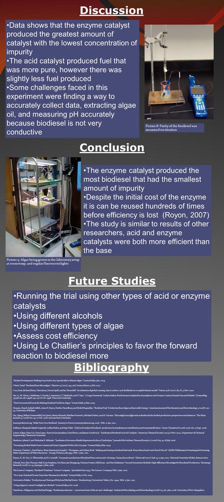 Conclusion Future Studies Bibliography Biofuel Development Shifting From Soil to Sea, Specifically to Marine Algae. ScienceDaily 4 Jan. 2009. Chisti,
