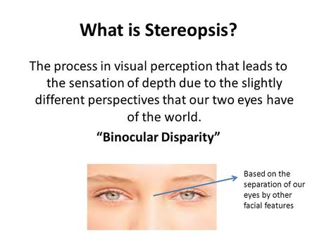 What is Stereopsis? The process in visual perception that leads to the sensation of depth due to the slightly different perspectives that our two eyes.