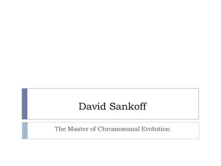 David Sankoff The Master of Chromosomal Evolution.