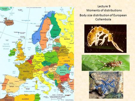 Body size distribution of European Collembola Lecture 9 Moments of distributions.
