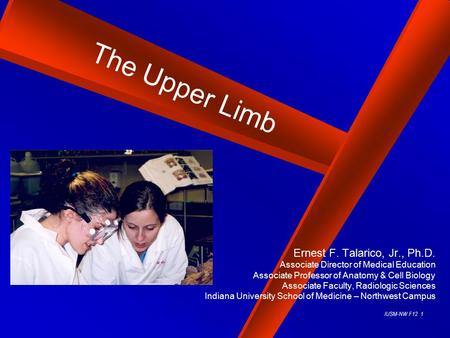 The Upper Limb Ernest F. Talarico, Jr., Ph.D.