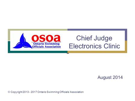 Chief Judge Electronics Clinic