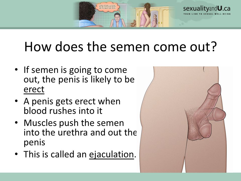 Semen Coming Out Of Penis 21