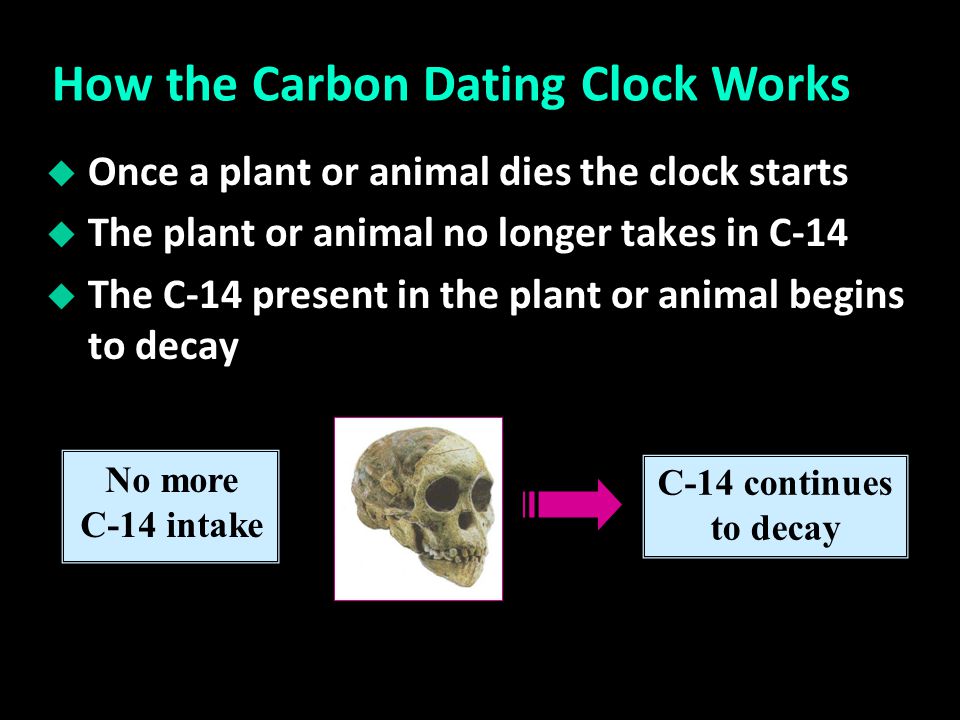 14c dating ppt