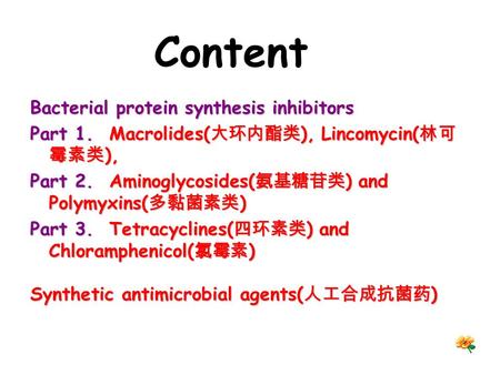 Content Bacterial protein synthesis inhibitors