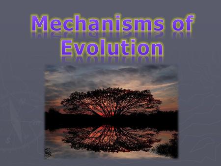 Mechanisms of Evolution.