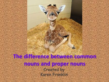 The difference between common nouns and proper nouns