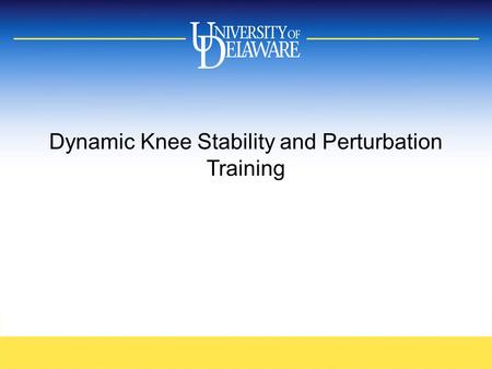 Dynamic Knee Stability and Perturbation Training.