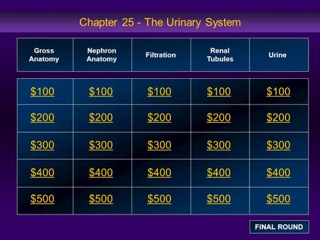 Chapter 25 - The Urinary System